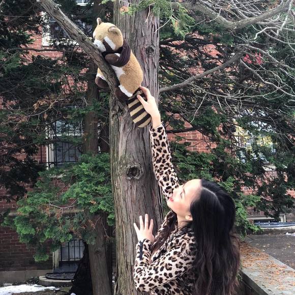 Meet your Posher, Annie - Picture 1 of 1